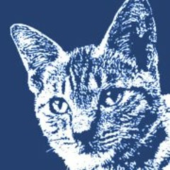 FF外から演説する閣下