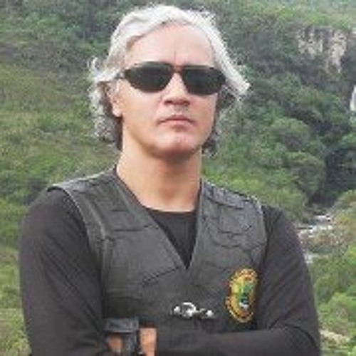 Luiz Sérgio Brizuela’s avatar