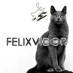 FelixVidor