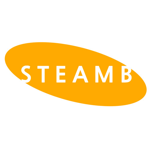 Steam.B’s avatar