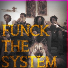 Funck The System