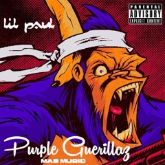 PurpleGuerilla