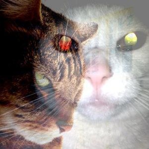 Stream THE CREME BETWEENS music Listen to songs, albums, playlists