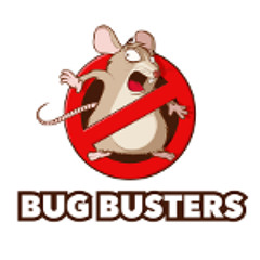 Bug Busters