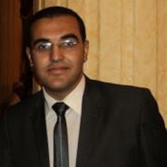 ameer shokry