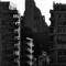 _Martin Geiger