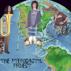 The Pterodactyl Project