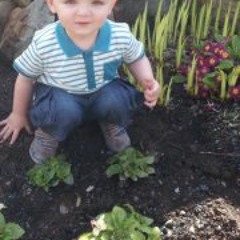 Clarabella Louise Curtis