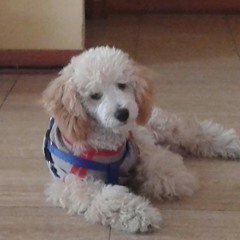 madelrosariio