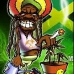 Snoop Weed