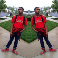 finessin_rem
