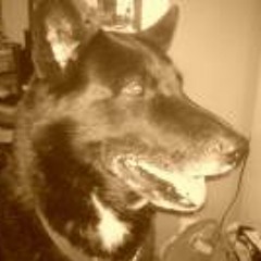 Kristoffer Wallenius