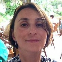 Ann Plotkin