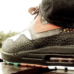 Vincent van den Brom