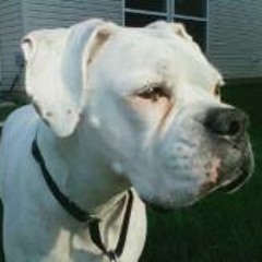 Joey Heather Leonard