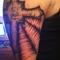 CanoDrew93