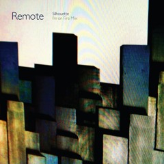 the-remote