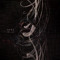 sewi(JPN)