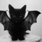 VampCat
