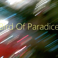 Bird Of Paradice