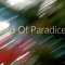 Bird Of Paradice