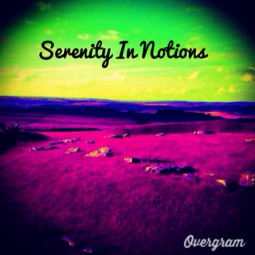 Serenity In Notions - Splinter Cell