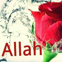 محمد الغليظ