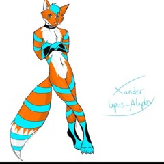 Xander_Zerda