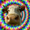 Supercow Delux  (ScDx)