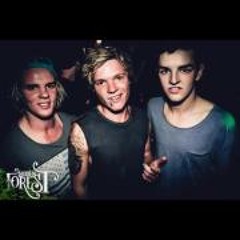 Daniel Timmermeister