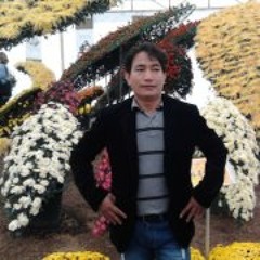 user431240658