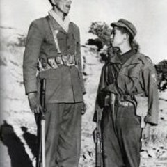 Abdelaziz-laid Ayachi