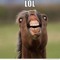 trihaha