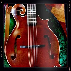 Tunedin5ths