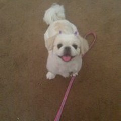 Miniapplecocoa Jackson