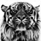 The Tiger.