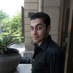 Abdelfattah Elsharkawi