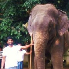 Prameeth Òó Madhushan