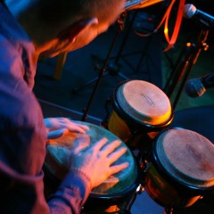 buny cajon percussion