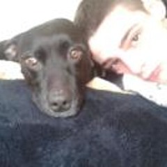 Josh Netsky Richards