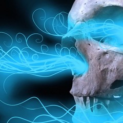 Davy Jones Theme Cover (FL Studio Sound Test)