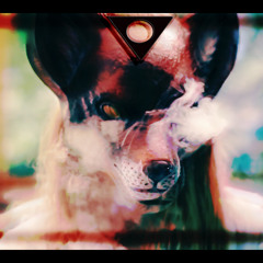 Kass -behind the dreams