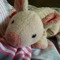 fridaycow