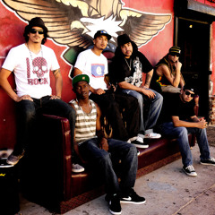 Krooked Treez Official