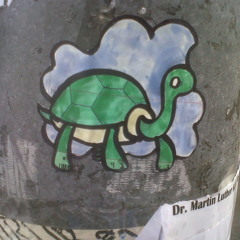 Big Dreams (Queenie the Snapping Turtle)