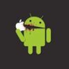 David R Bermudez Santiago