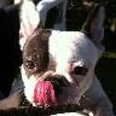 Fernando Rodriguez 134