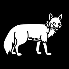 Paco_Fox