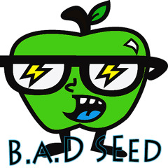 BADSEEDMUSIK