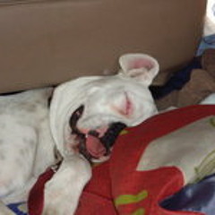 Ricardo Orozco Hermosillo